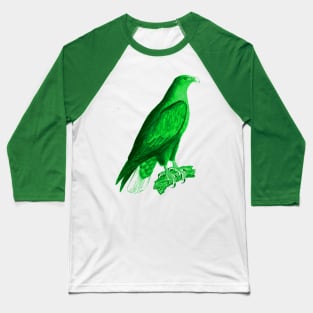 hawk,bald eagle,falcon,golden eagle,birdie,bird,bird of prey,raptor,aquila,vulture,heron,golf game,golf,eaglet,condor,haliaeetus,harpy eagle,beak,eagle putt,bird of jove,accipitridae,score,pigeon,owl,osprey Baseball T-Shirt